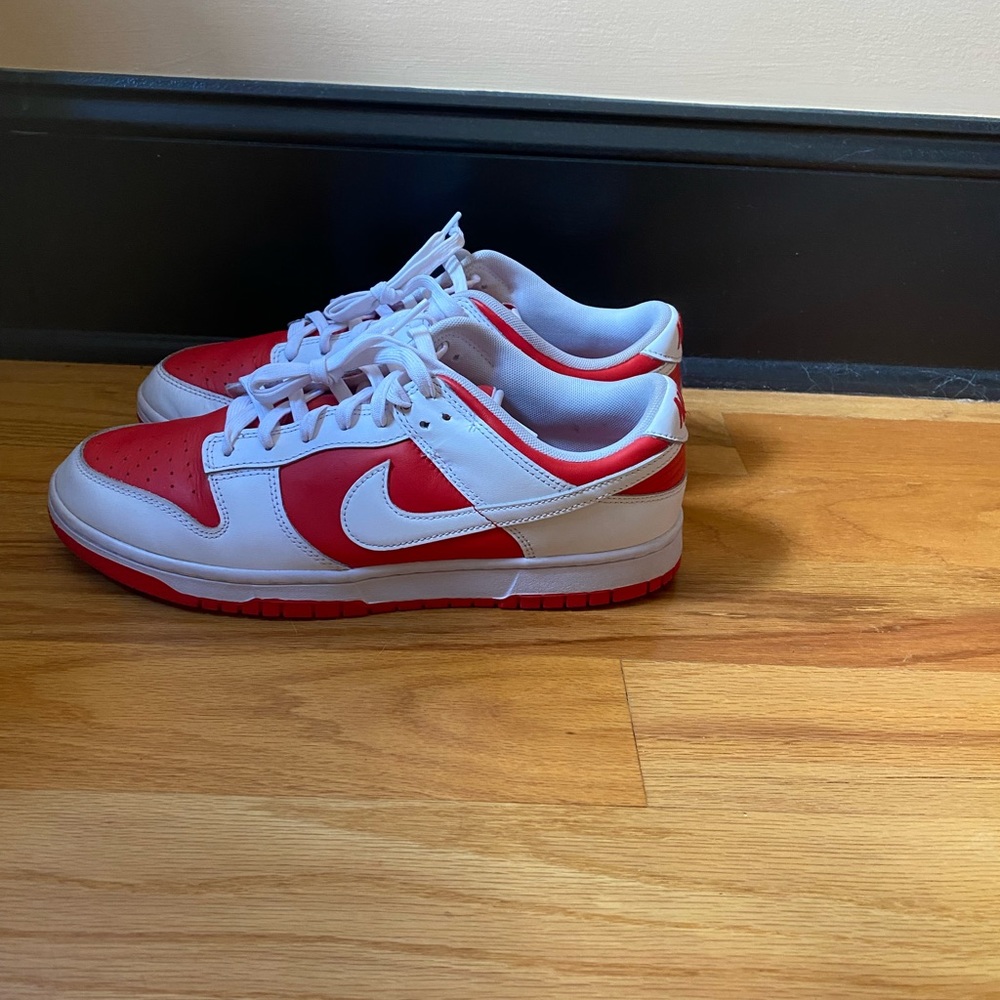 Mens Nike dunk size 11